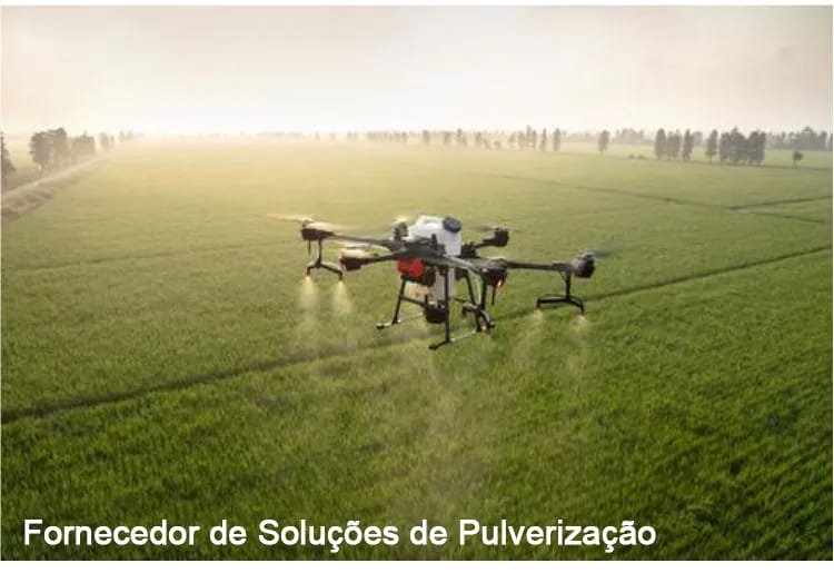 Bico de drone
